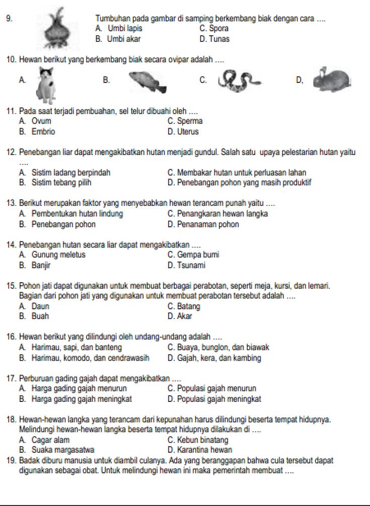 Pelajaran Ipa Kelas 6 Semester 2 Dalchaebi