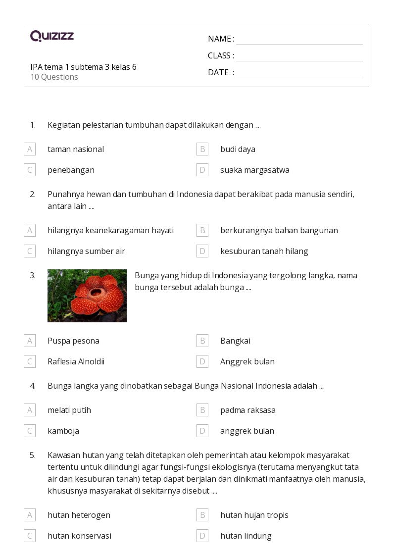 5 Fakta Mengejutkan Soal Tema 1 Sub Tema 3 Kelas 6 yang Wajib Diketahui