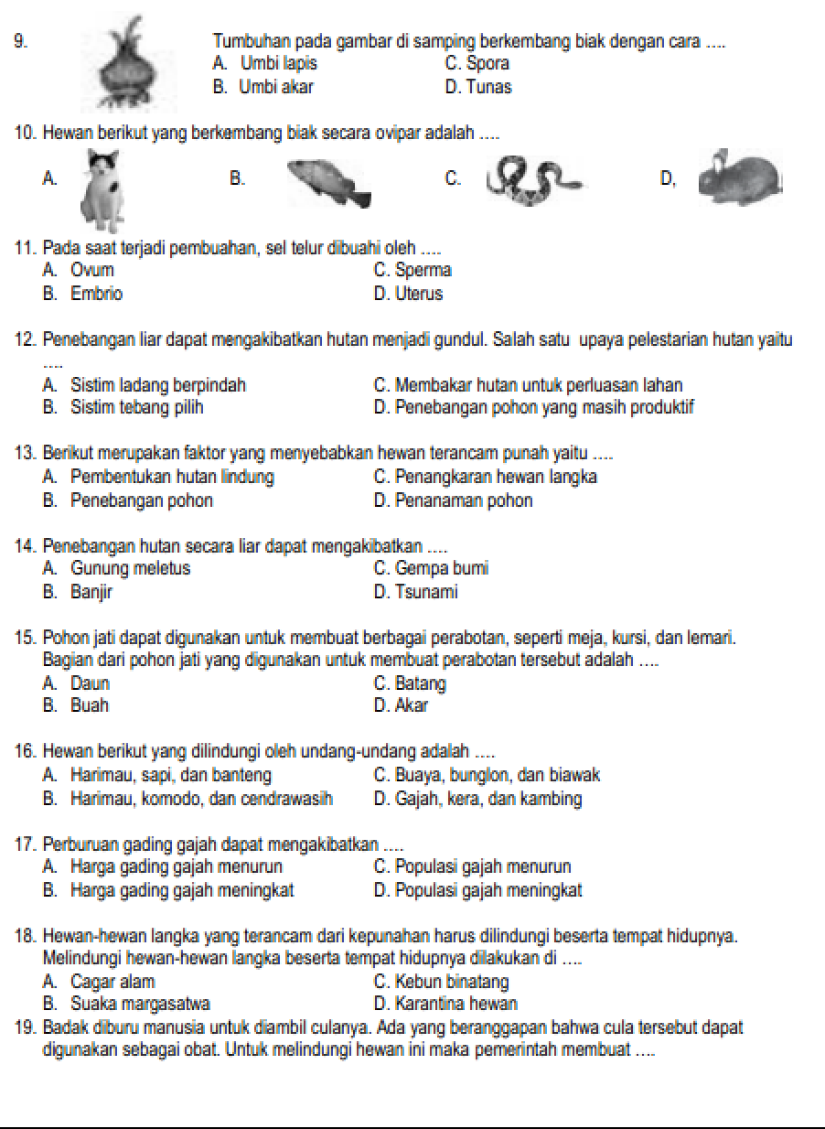 Latihan Soal Kelas 6 Ipa MATERI GURU